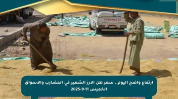 ارتفاع واضح اليوم.. سعر طن الأرز الشعير في المضارب والأسواق الخميس 11-9-2025